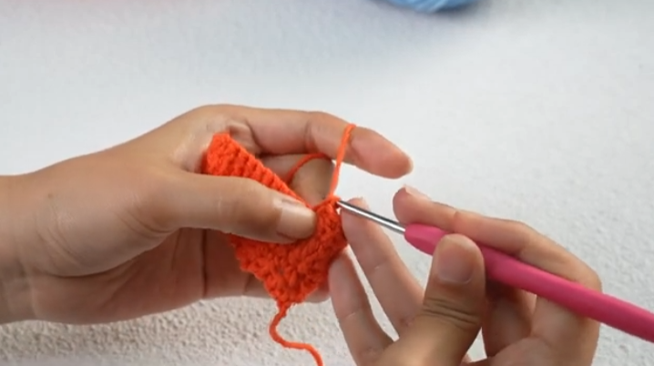 後ろ側の半目のみ かぎ針編みチュートリアル | BLO Crochet
