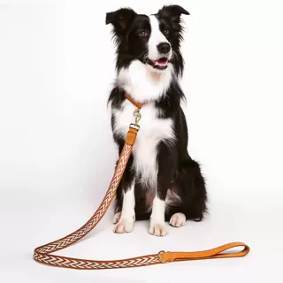 犬用リードDIYキット 本革ハンドメイド織帯リード素材