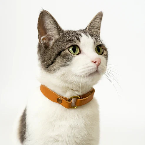 猫用ギボシ式レザー首輪DIYキット 本革ハンドメイドクラフト素材 Sサイズ