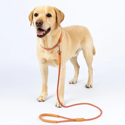 小中型犬用レザーリードDIYキット 本革手作りペット用品素材
