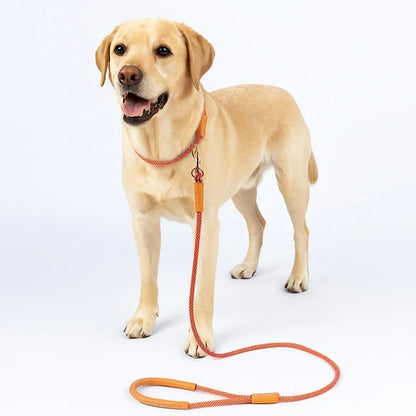 小中型犬用レザーリードDIYキット 本革手作りペット用品素材