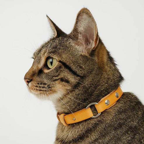 つなぎ合わせ猫用レザー首輪DIYキット ギボシ式 本革ハンドメイド素材