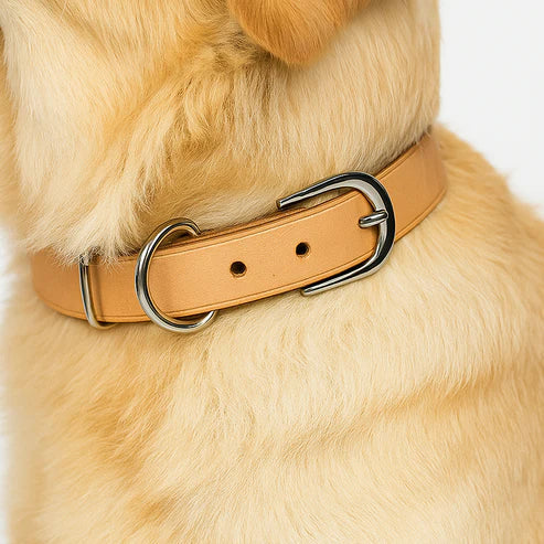 犬用首輪本革DIYキット Sサイズ レザークラフト手作り首輪素材