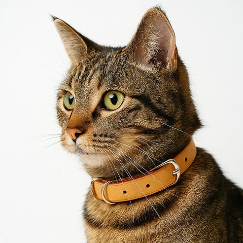 猫用首輪レザークラフト DIY キット 本革手作り首輪 ハンドメイド素材