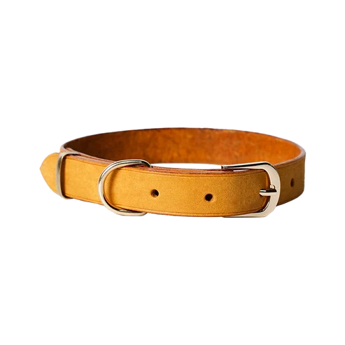 犬用本革首輪DIYキット 口型バックルSサイズ
