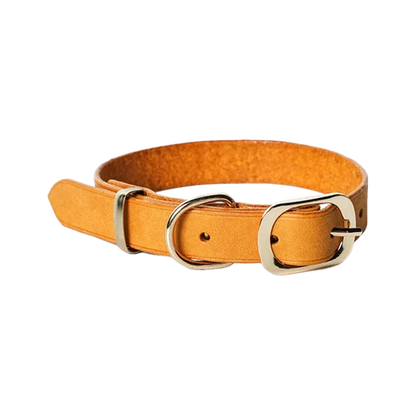 犬用本革首輪DIYキット 日型バックルタイプ