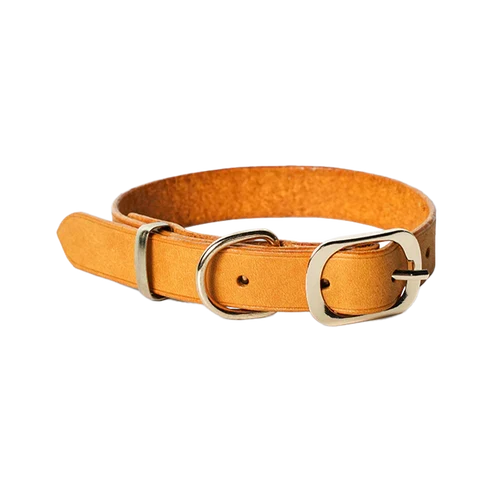 犬用本革首輪DIYキット 日型バックルタイプ