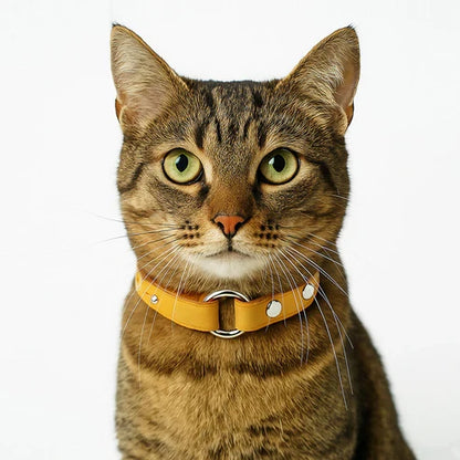 つなぎ合わせ猫用レザー首輪DIYキット ギボシ式 本革ハンドメイド素材